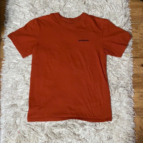 Patagonia Tops - Patagonia t-shirt
